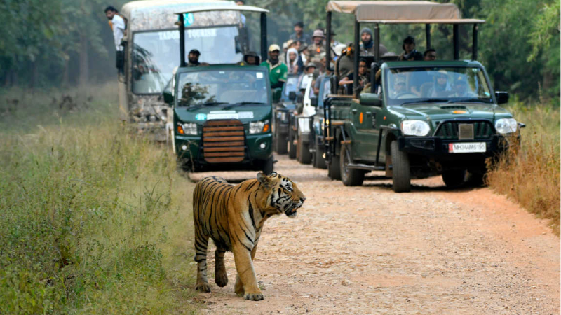 Pachmarhi